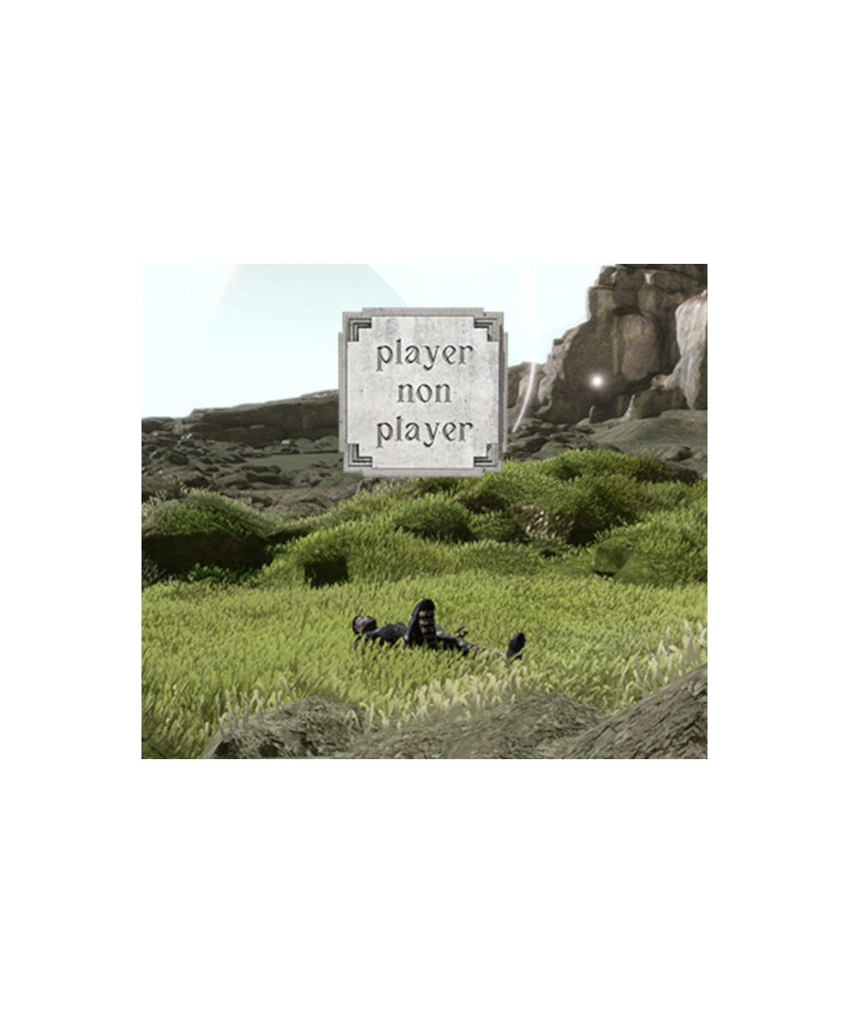 Player Non Player Steam Key GLOBAL